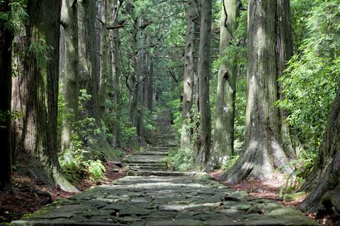 熊野古道　大門坂